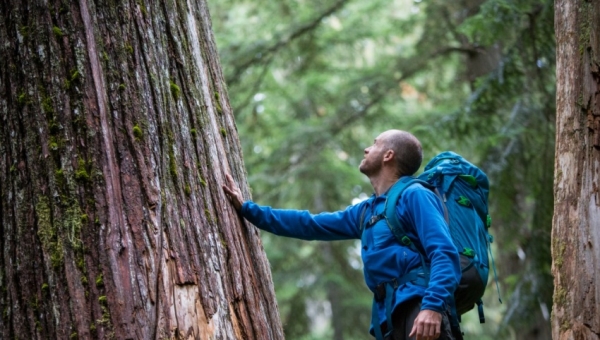 “Renovación en Acción”, el ciclo de charlas que Turismo Sustentable ofrecerá en septiembre 